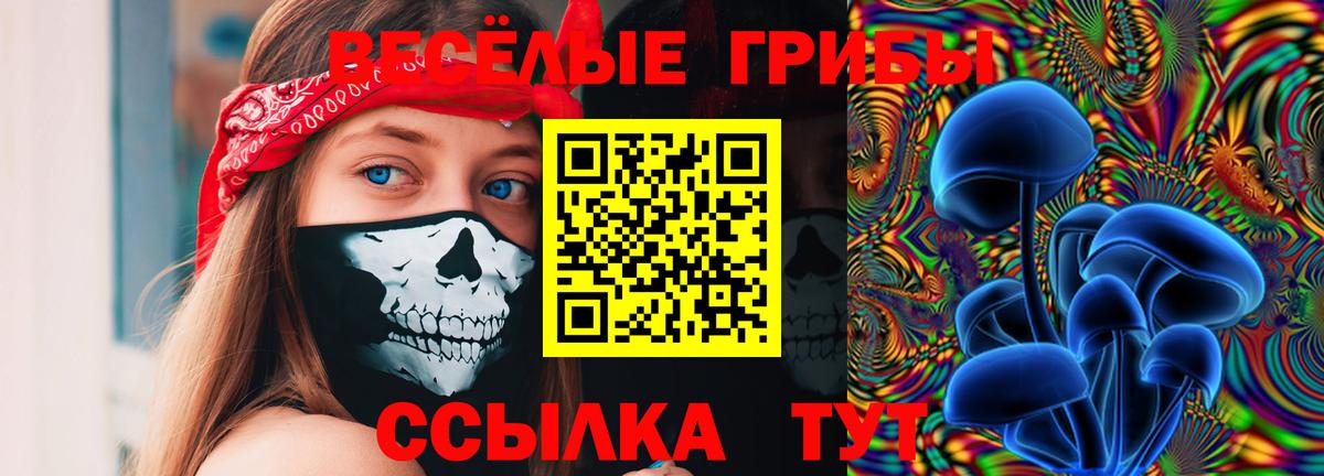Псилоцибиновые грибы Psilocybe  Псилоцибиновые грибы Psilocybe  Вход с VPN  Щёлково 