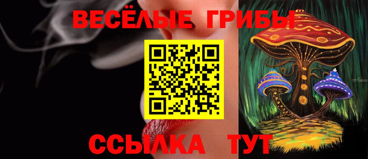 Галлюциногенные грибы мухоморы Щёлково