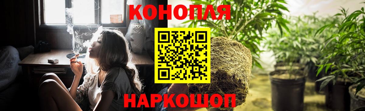 Каннабис планчик Щёлково